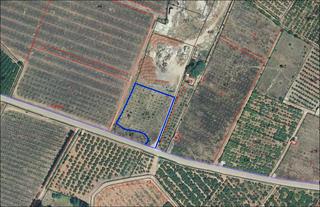 Rural plot in Partida madrigal c 89