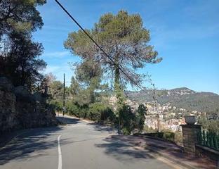 Residential Plot in Carrer sant miquel 15
