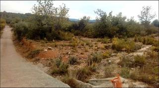 Finca rústica a San Jorge