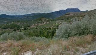Rural plot in Cotillas