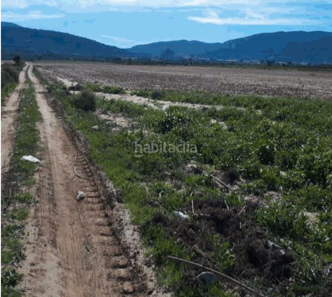 Foto 6c53f78d-3054-410a-9358-777e2816d705. Finca rústica a Biar