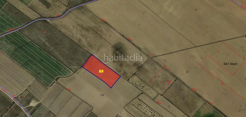 Foto aec06ed0-1589-45f6-a298-9d99ac87e940. Finca rústica a Biar