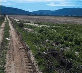 Finca rústica en Biar
