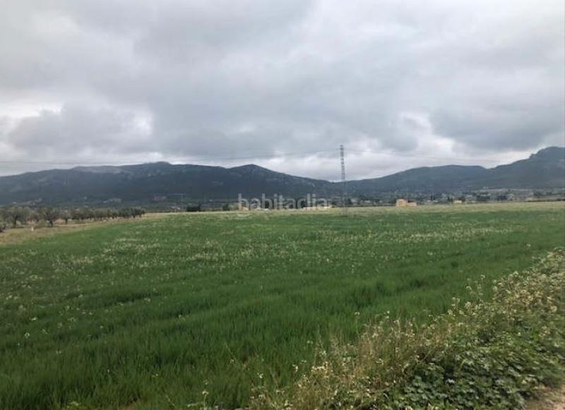 Foto 607c322d-8256-49cc-856f-706c3d143c4e. Propriété dans El Rabal Villena