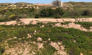 Terreno residencial  Avenida nueva condomina