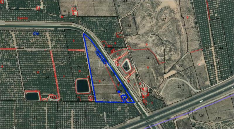 Foto eda0e18a-201d-4660-85e8-8ecd1ef0f3e4. Finca rústica a Montepinar - La Aparecida - Raiguero Orihuela