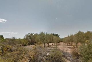 Rural plot in Segorbe