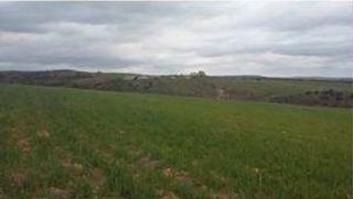 Rural plot in Espinosa de Henares Pueblo