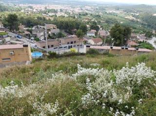 Residential Plot in Carrer paisos catalans 150