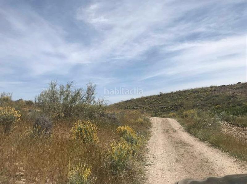 Foto 2105c8c7-0ae1-4eed-b2a2-47fe24ee78cd. Finca rústica a Benizalón