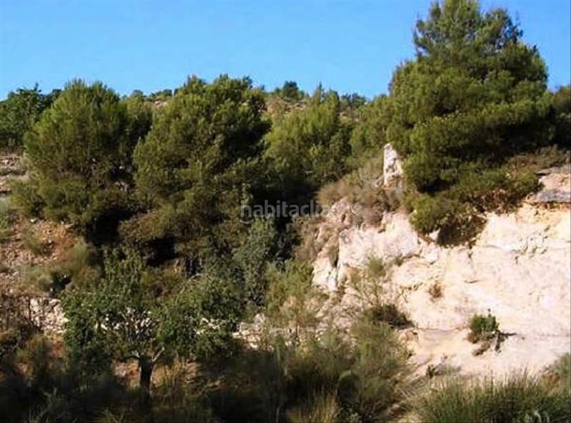 Foto e2626198-b6b4-4a1a-b898-81802e58518b. Finca rústica a Purchena