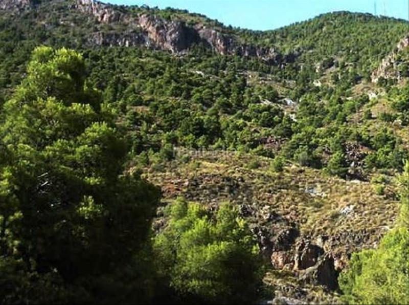 Foto f973a47d-059d-4b1c-adb3-3ece1018d7b9. Fondo rustico in Purchena