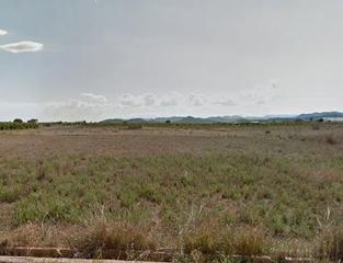 Rural plot in Moncófar Pueblo