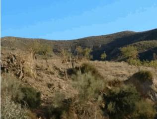 Finca rústica en Puerto Lumbreras