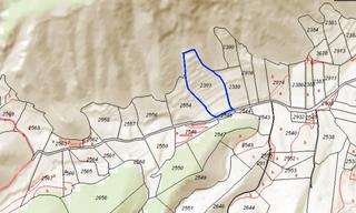 Rural plot in Abanilla