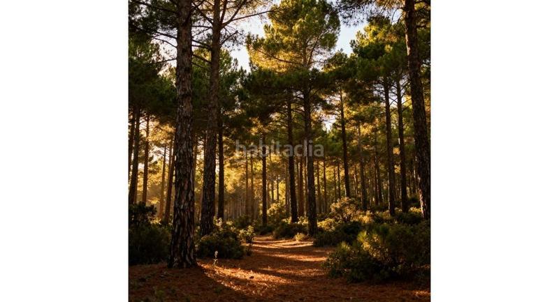 Foto 0754942a-c27f-4163-9550-737fc8d5197f. Wohngrundstück in Valldoreix Sant Cugat del Vallès