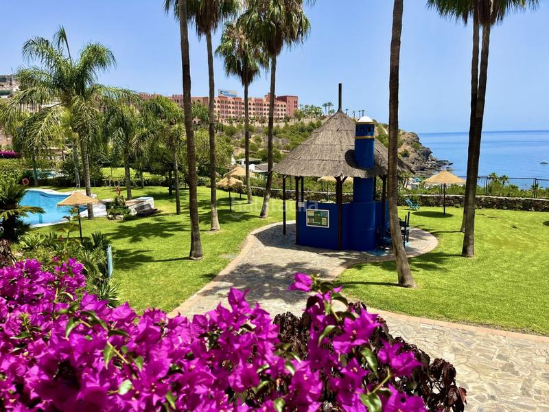 Foto 2ad66954-74be-4c11-b621-330ccb86345d. Alquiler apartamento  en alquiler en playa galera, 2 dormitorios. en Almuñécar