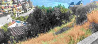 Terreny residencial a Cotobro. Parcela en venta en cotobro.