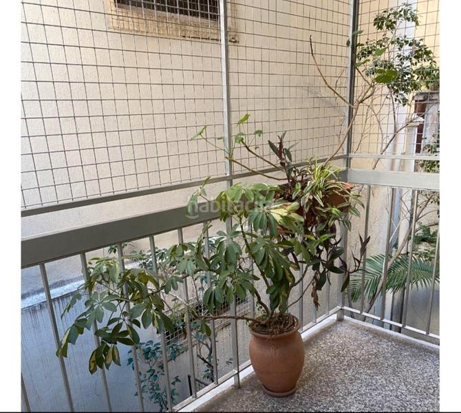 Foto 29922a66-3aab-4cf5-95fa-8a06b460c25d. Appartamento in Tordera Tordera