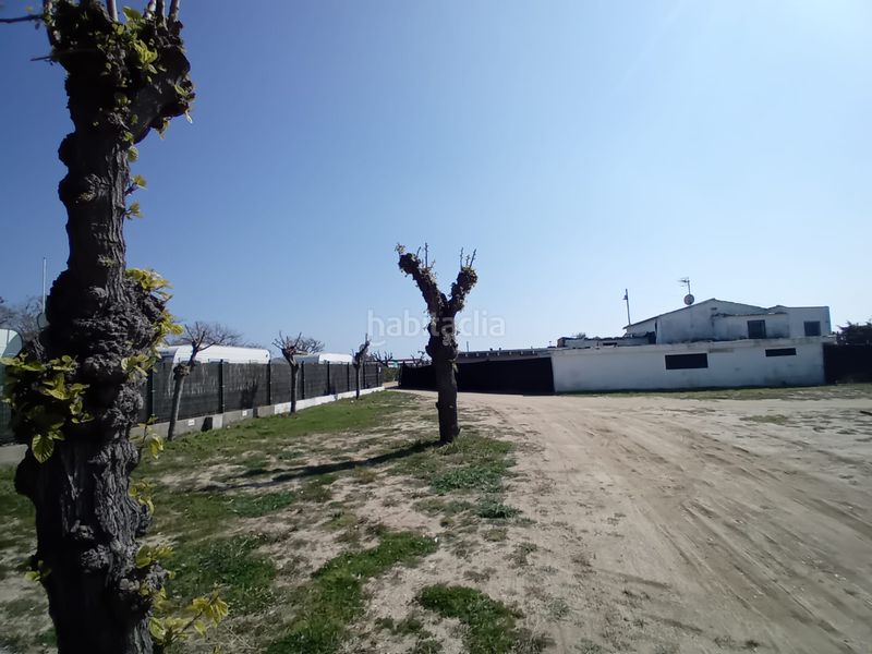 Foto 481c9d94-47bb-4589-8fd9-961a08d78843. Terreny residencial a Malgrat de Mar