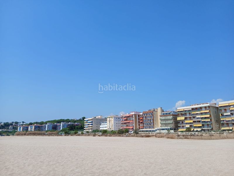 Foto 367ccc3a-c7d6-4c2d-91fb-c3b45aa5545b. Planta baixa a Canet de Mar