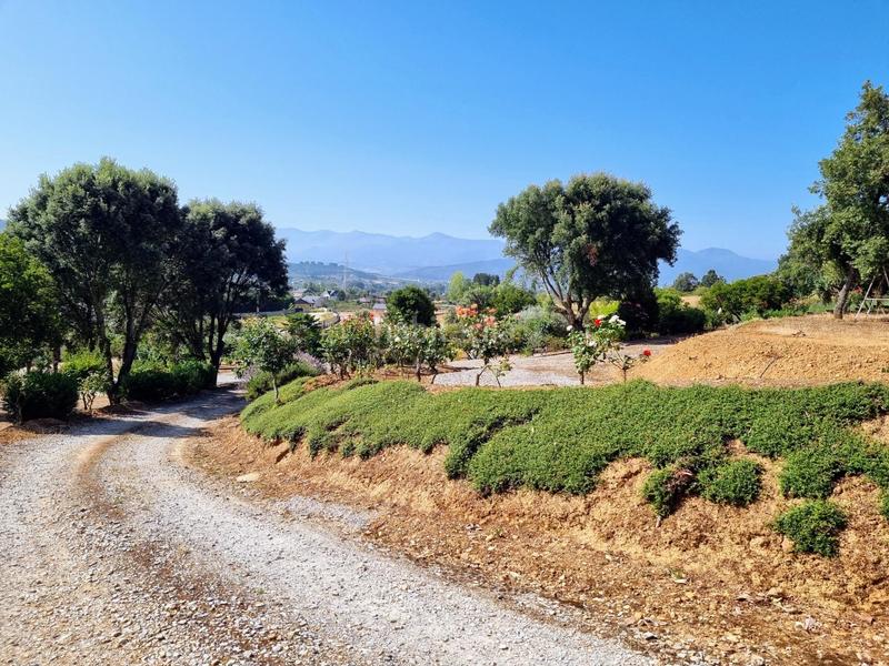 Foto ae98c5da-d837-4f1d-a26e-bbd53621b23d. Casa amb calefacció aparcament piscina a Flores de Sil - La Placa Ponferrada