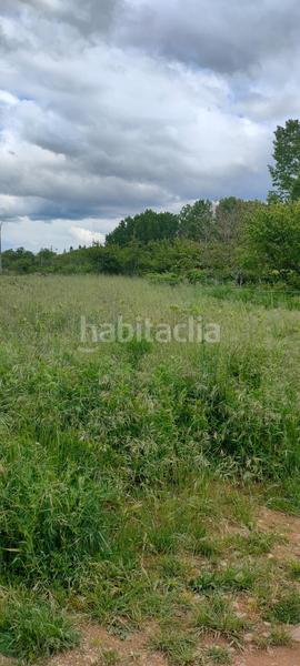 Foto 022a408d-fa82-4358-82b9-28b17b9198e9. Fondo rustico in Cortes-Huertas Madrid