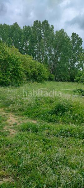 Foto 03571ee2-45fd-4b4d-983a-503aba21640a. Fondo rustico in Cortes-Huertas Madrid