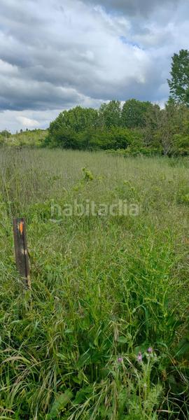 Foto 05bc6118-8a0c-4270-aca6-3c63ee39f96d. Fondo rustico in Cortes-Huertas Madrid