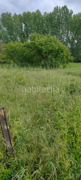 Foto 1413a998-eaa8-454d-a1ea-4d27e895a908. Fondo rustico in Cortes-Huertas Madrid