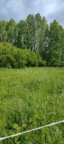 Foto 17c7bcde-710b-4a24-af5c-ff830a748914. Fondo rustico in Cortes-Huertas Madrid