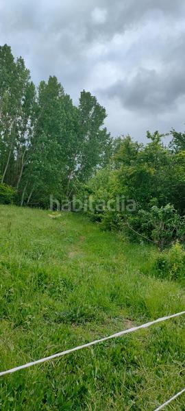 Foto 1bac239b-b0ca-43c9-a6de-7fead9057dd9. Fondo rustico in Cortes-Huertas Madrid