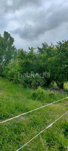 Foto 5cbacae3-89ec-4729-96f4-2b301dfe932f. Fondo rustico in Cortes-Huertas Madrid