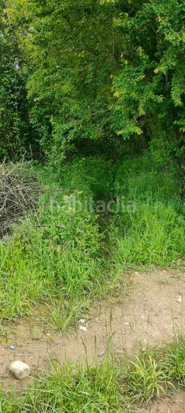 Foto 81851f48-9888-47e4-b2fc-edcf85f8c30f. Fondo rustico in Cortes-Huertas Madrid