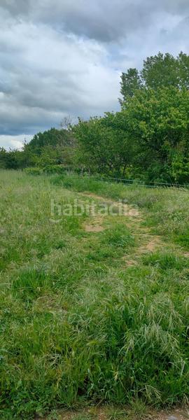 Foto 843b678e-274b-4086-bc7b-7e1bb2257e98. Fondo rustico in Cortes-Huertas Madrid