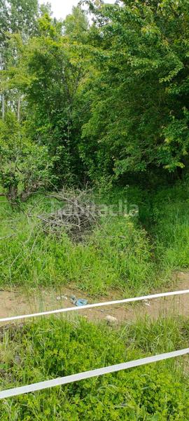 Foto 97d8a02e-8fe3-460a-9162-4d620b91cc68. Fondo rustico in Cortes-Huertas Madrid