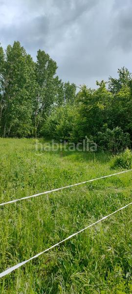 Foto a11ece35-19ab-4273-a7f5-fb0a5bf4cf4c. Fondo rustico in Cortes-Huertas Madrid