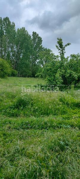 Foto abf4f714-5e09-43c0-b2b1-2e0e6e89d98d. Fondo rustico in Cortes-Huertas Madrid