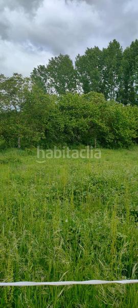 Foto b85062ac-a9a6-4fa5-a54b-92d95332706c. Fondo rustico in Cortes-Huertas Madrid