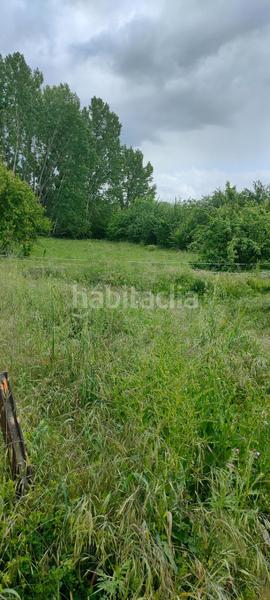 Foto c0c445a4-9d9e-4aa7-8b34-f86b21d71c0b. Fondo rustico in Cortes-Huertas Madrid