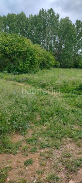 Foto fe035886-915d-42b0-a5c6-fd57242b0ace. Fondo rustico in Cortes-Huertas Madrid