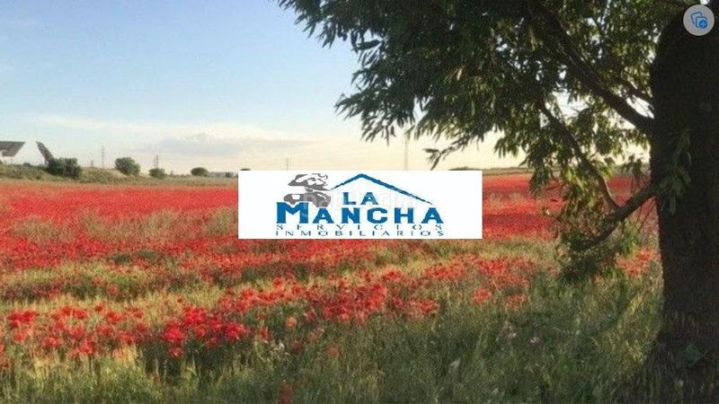 Foto 7c6b6738-e58d-4c5f-9ec6-08a174107dfe. Fondo rustico in Pedanías - Extrarradio Albacete