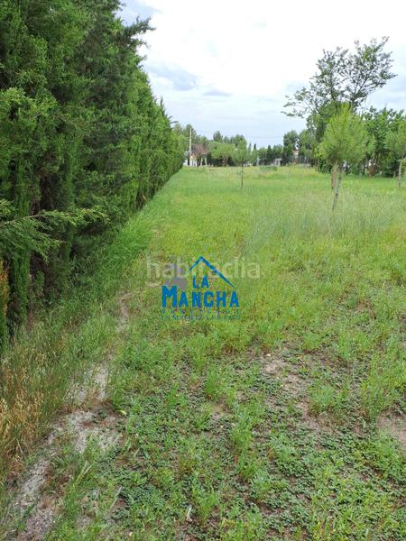 Foto 1866110b-4127-4ed8-a3be-88e9388928c3. Finca rústica inmobiliaria la mancha vende terreno rustico zona carretera de jaen paraje casica orea en Albacete