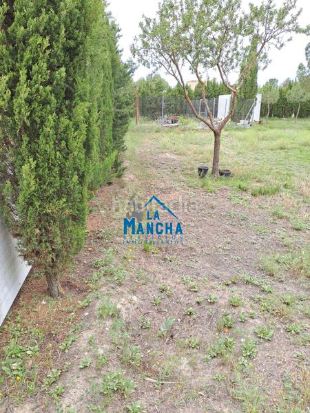 Foto 2ed6d7ec-1eae-4f62-80f9-fe52369c5356. Finca rústica inmobiliaria la mancha vende terreno rustico zona carretera de jaen paraje casica orea en Albacete