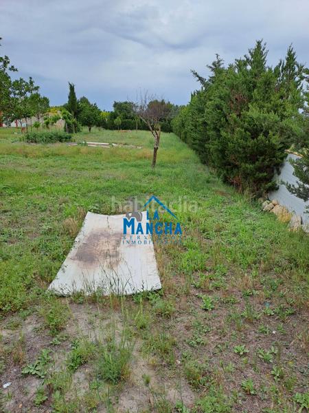 Foto 3864c783-11cf-4baf-bebc-975dfba4d7df. Finca rústica inmobiliaria la mancha vende terreno rustico zona carretera de jaen paraje casica orea en Albacete