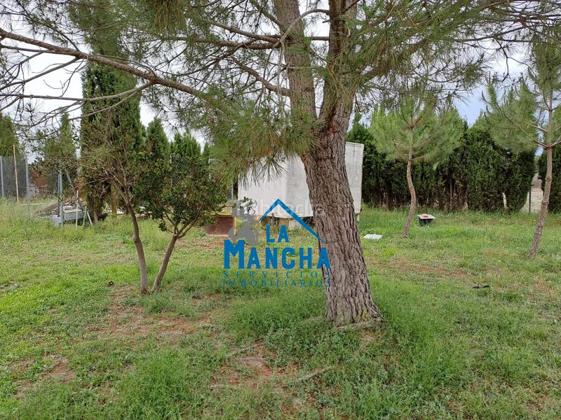 Foto 78f98e9e-be60-4c08-b2e2-722aeae9ae71. Finca rústica inmobiliaria la mancha vende terreno rustico zona carretera de jaen paraje casica orea en Albacete