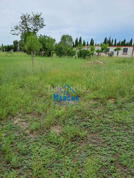Foto ac9fcf95-608d-433d-bc69-90b944b8275c. Finca rústica inmobiliaria la mancha vende terreno rustico zona carretera de jaen paraje casica orea en Albacete