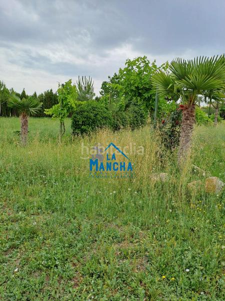 Foto f180c7b5-3125-4a20-b396-916e50ba3420. Finca rústica inmobiliaria la mancha vende terreno rustico zona carretera de jaen paraje casica orea en Albacete