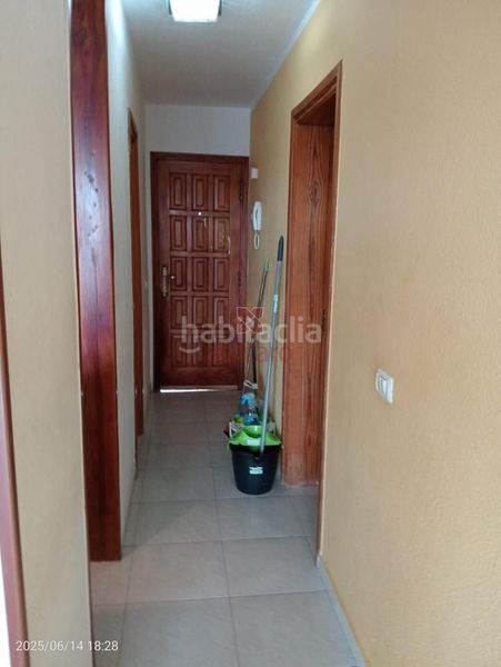 Foto 04e87db0-c345-45f8-8a98-93e35bd88be8. Pis a Los Cristianos Arona