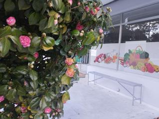 Local Comercial  N/a